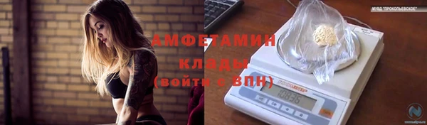 мдпв Магас