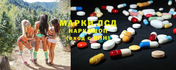 мдпв Магас