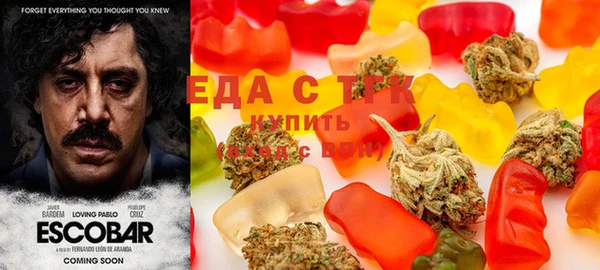 мдпв Магас