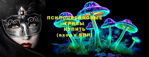 мдпв Магас